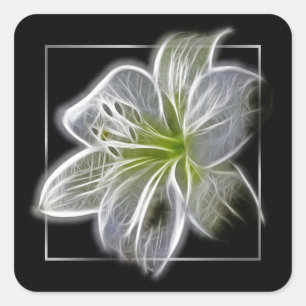 Stunning White Lily Fractal Art Black Square Sticker