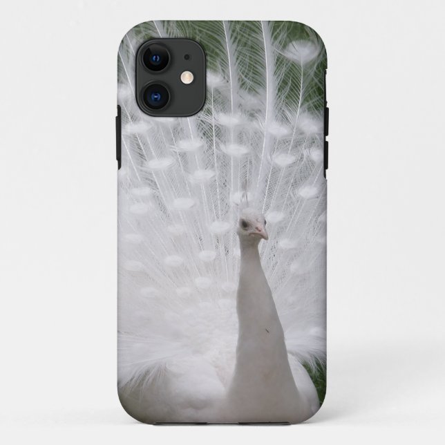 Stunning white Peacock ( Peafowl) full plume Case-Mate iPhone Case (Back)