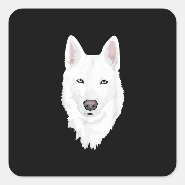 Stunning White Siberian Husky - Sweet White Snow Square Sticker (Front)