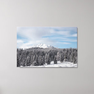 Stunning winter scenery canvas print