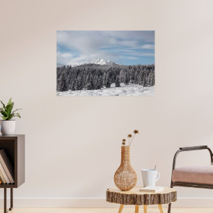 Stunning winter scenery poster