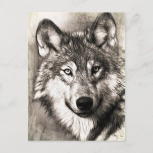Stunning wolf face photo print accessories therian postcard