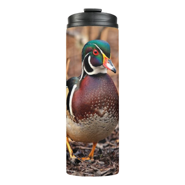 Stunning Wood Duck in the Woods Thermal Tumbler (Front)