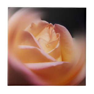 Stunning Yellow Rose Flower Tile