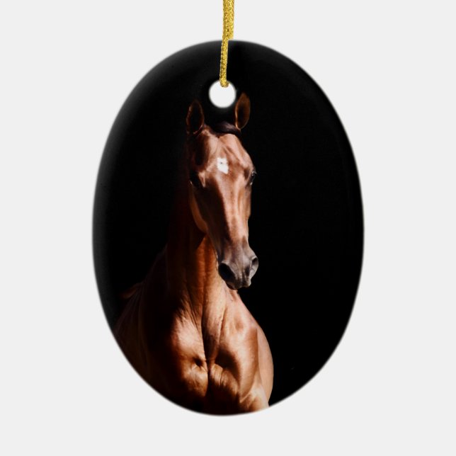 Stunning Young Stallion Ceramic Tree Decoration (Front)