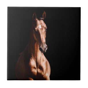 Stunning Young Stallion Tile