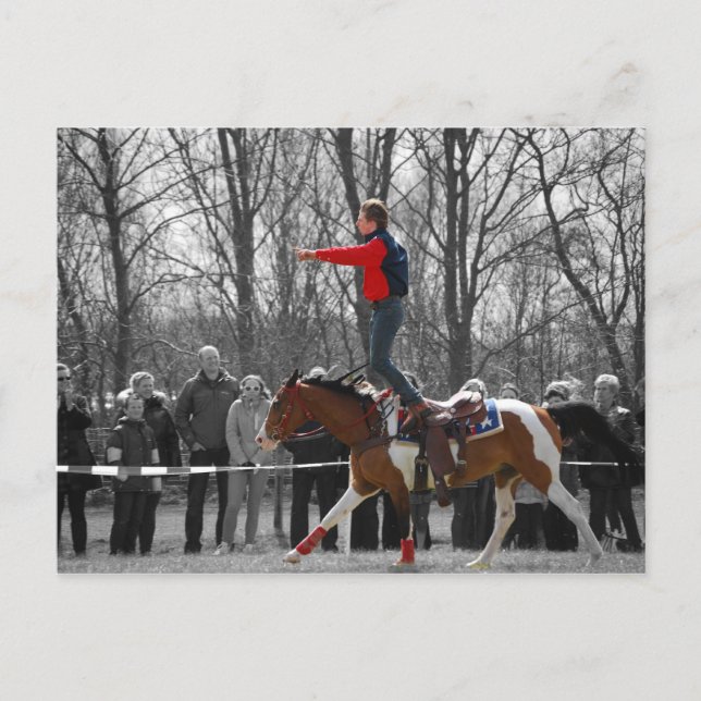 Stunt Riding Postcard (Front)