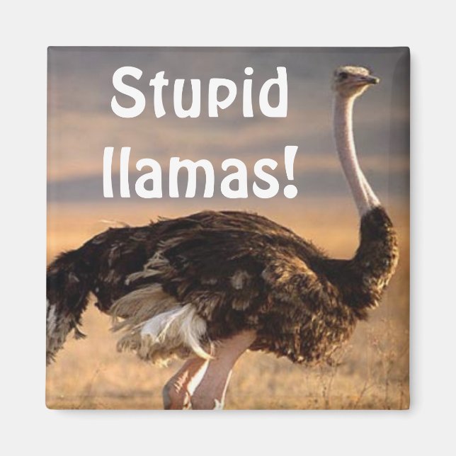 Stupid llamas! magnet (Front)