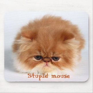 Stupid Mouse Mat