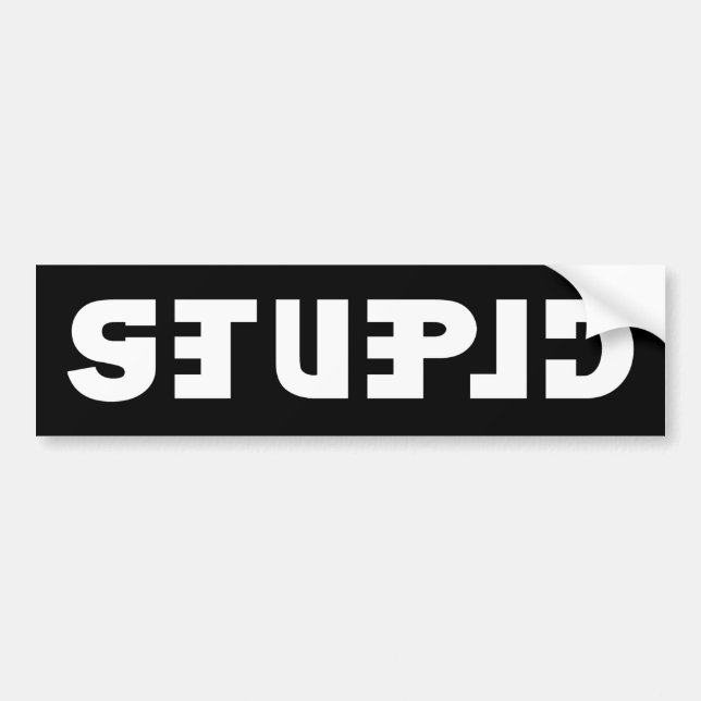 Stupid on the Sticker, Clever in the Mirror Bumper Sticker (Front)