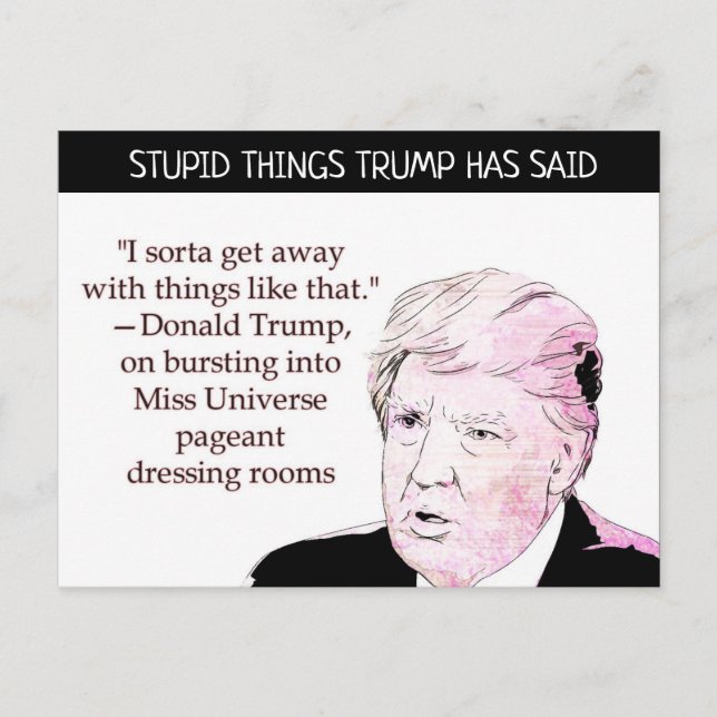 Stupid Things Trump has said Postcard Souvenir (Front)