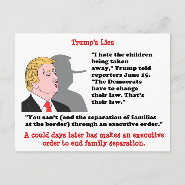 Stupid Things Trump has said Postcard Souvenir (Front)