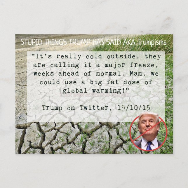 Stupid Things Trump has said Postcard Souvenir (Front)