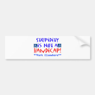 Stupidity Bumper Sticker