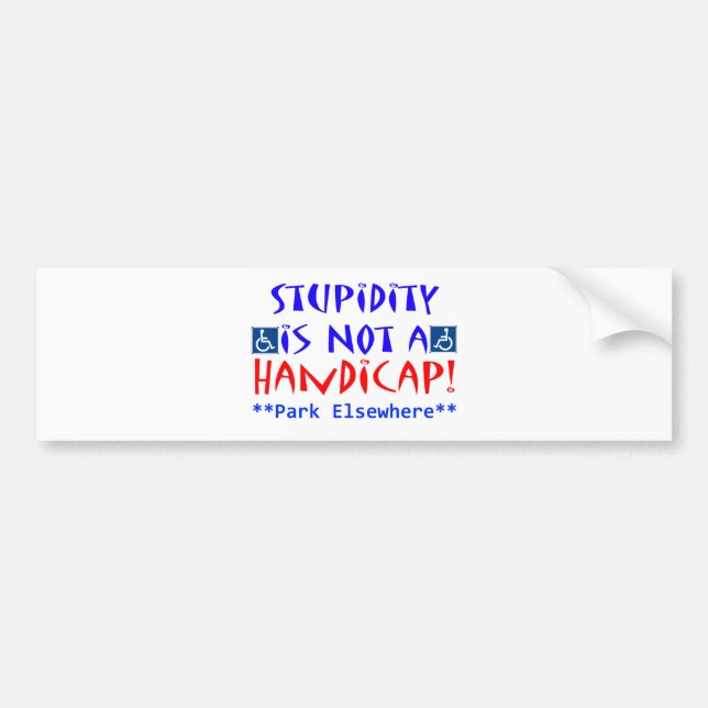 Stupidity Bumper Sticker (Front)