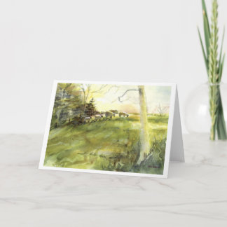 Sturbridge Village Sheep Holiday Card