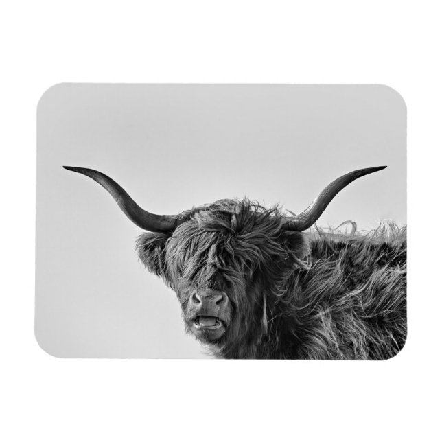 Sturdy highland cow in monochrome magnet (Horizontal)