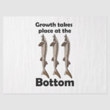 Sturgeon Fish Growth Takes Place At The Bottom