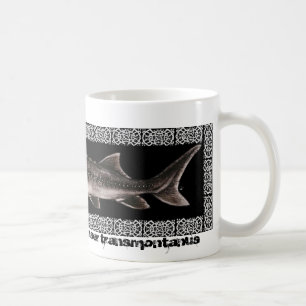 Sturgeon Mug - White Sturgeon