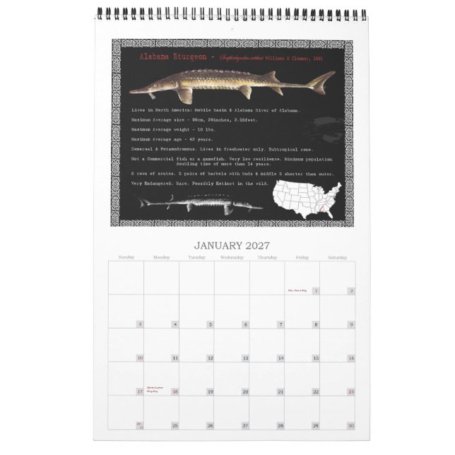 Sturgeon of North America 2010 Calendar (Jan 2027)