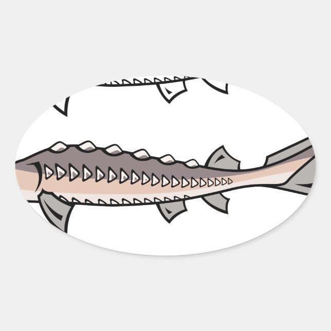 Sturgeon rare fish oval sticker (Front)