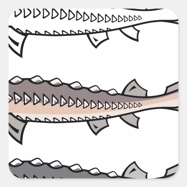 Sturgeon rare fish square sticker (Front)