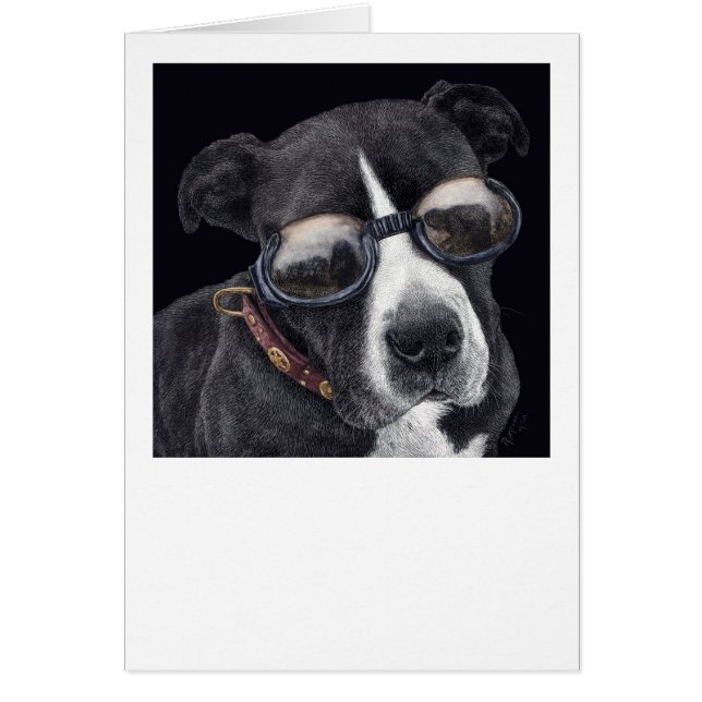 "Style" - Bully Mix (Front)