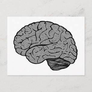 Stylised Brain Postcard