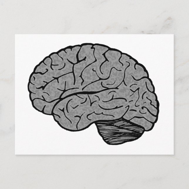 Stylised Brain Postcard (Front)