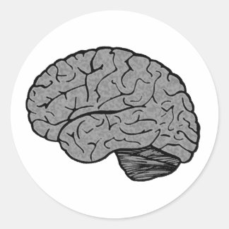 Stylised Brain Stickers