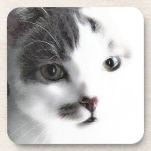 Stylised Cat Face Close-up Coaster Set (6)