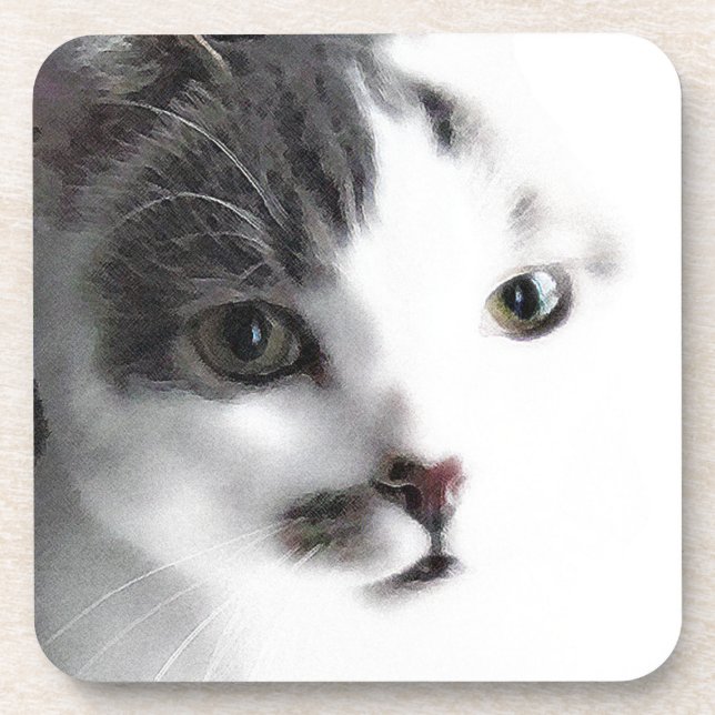 Stylised Cat Face Close-up Coaster Set (6) (Front)