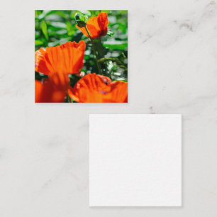 Stylised Garden Red Orange Poppy Flowers Enclosure Card