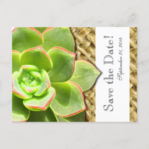 Stylised Hen and Chick Burlap save the date Announcement Postcard