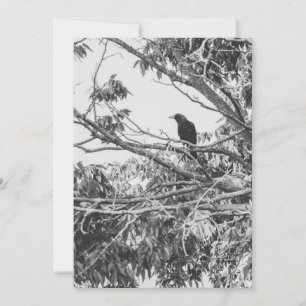 stylised high-contrast American gothic crow art Holiday Card