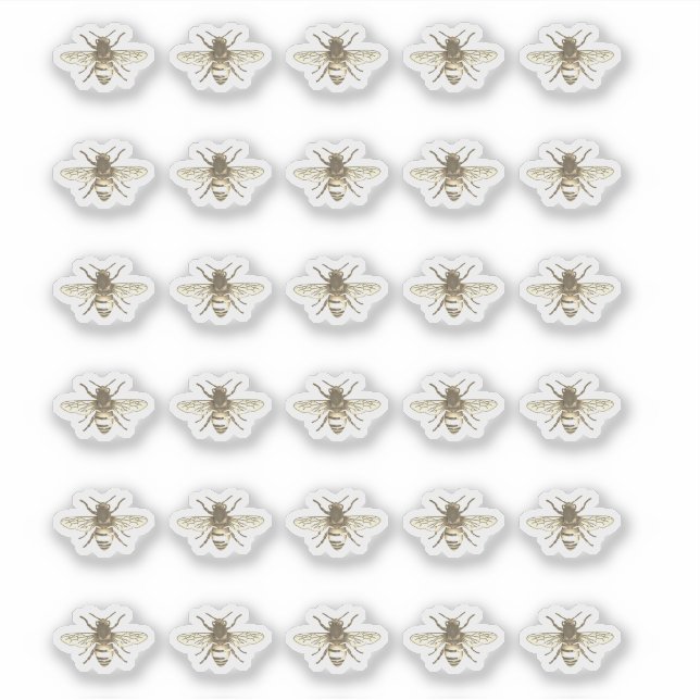 Stylised Honeybee Beekeeper Stickers  (Front)