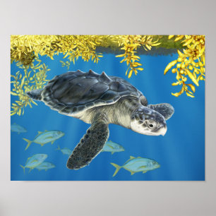Stylised Kemp's Ridley Sea Turtle with Sargassum Poster