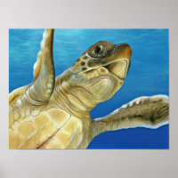 Stylised Loggerhead Sea Turtle
