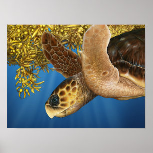 Stylised Loggerhead Sea Turtle with Sargassum Poster