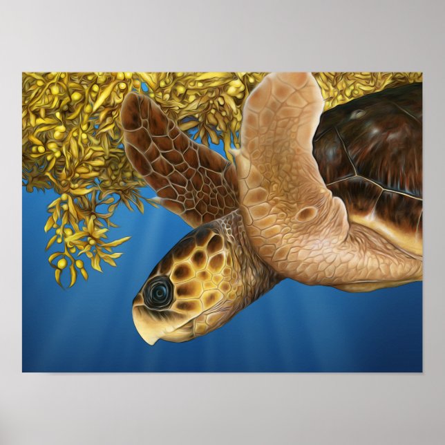 Stylised Loggerhead Sea Turtle with Sargassum Poster (Front)