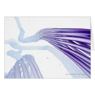 Stylised nerve fibres
