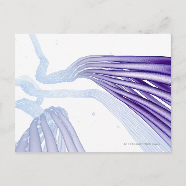 Stylised nerve fibres postcard (Front)