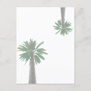 Stylised Palm Tree Pastel Green Tropical Postcard