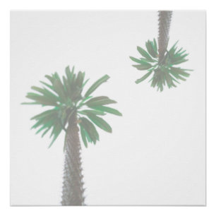 Stylised Palm Tree Pastel Green Tropical Poster