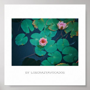 Stylised Pink Water Lily Flowers Plants Poster