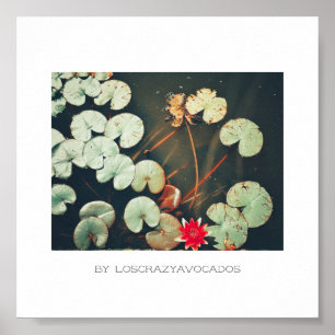 Stylised Red Green Water Lily Flower Plants Poster