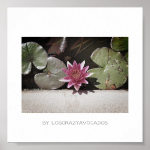 Stylised Red Green Water Lily Flower Plants Poster