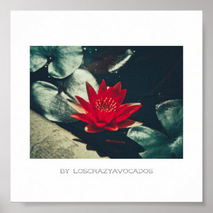 Stylised Red Green Water Lily Flower Plants Poster