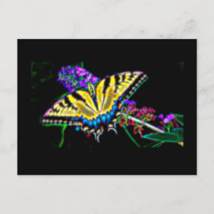 Stylised Swallowtail Butterfly Postcard
