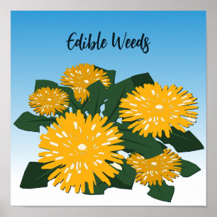 Stylised Wildflower Yellow Dandelion Edible Weeds Poster